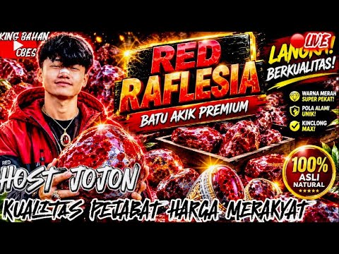 🔴LIVE BONGKAHAN AKIK BERKUALITAS ✨✨✨✨