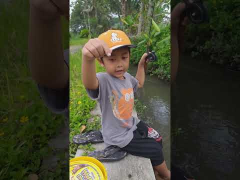 Mancing Mania