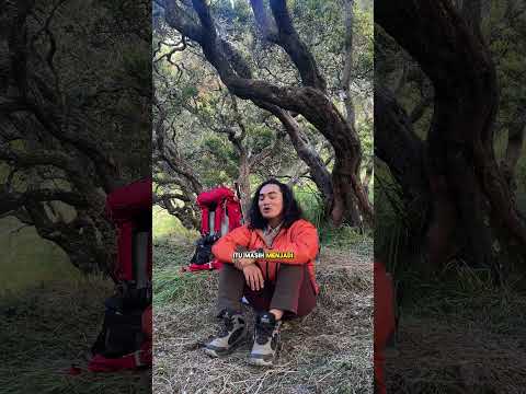 Kenapa Gue Selalu Pakai Sepatu Mid-Cut? Ini Alasannya.. #pendaki #gunung #viral #fyp #Midcut #sepatu