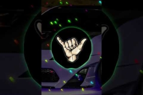 DJ KICAU KICAU MANIA REMIX ANGKATLAH TOPI MINAT MONGGO JAPRI VIRAL TIKTOK TERBARU 2026