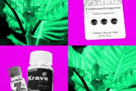 dea-berencana-melarang-senyawa-kratom-mirip-opioid-7-oh