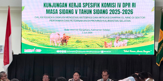 Antisipasi Dampak El Nino pada Hewan Ternak di Kalimantan Selatan