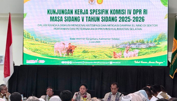 antisipasi-dampak-el-nino-pada-hewan-ternak-di-kalimantan-selatan