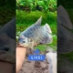 Kalau bisa dapat banyak dari salah satu jenis ikan ini saat mancing, kamu pilih yang mana?