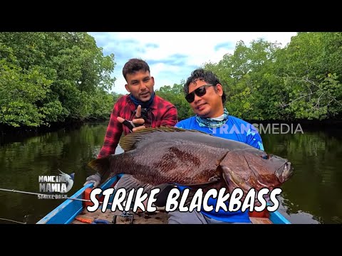 Sensasi Sambaran Blackbass Predator Sungai | MANCING MANIA STRIKE BACK (13/06/26) Part 1
