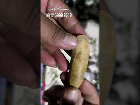 Batu Fosil Kerang Anti Tembak #batuakik #4newsgoo