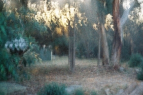 a-small-camera-for-‘the-big-picture’:-celebrating-30-years-of-the-big-issue-australia