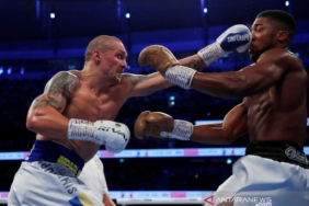 usyk-dalam-negosiasi-lanjutan-untuk-laga-perpisahan-lawan-wilder