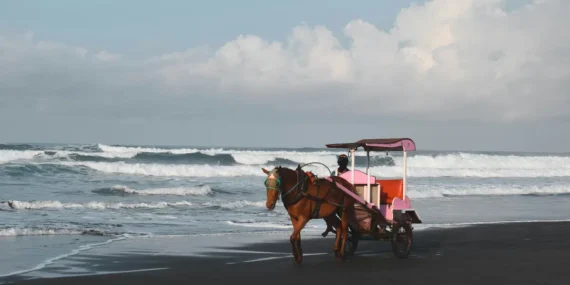 Sebagai warga Jogja, pantai Bantul lebih menarik untuk dikunjungi dibanding pantai Gunungkidul