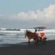 sebagai-warga-jogja,-pantai-bantul-lebih-menarik-untuk-dikunjungi-dibanding-pantai-gunungkidul