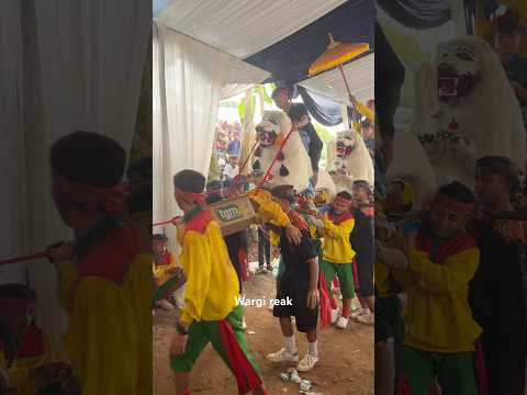 Viral lagu kicau mania lagi #shorts #kicaumania #viral