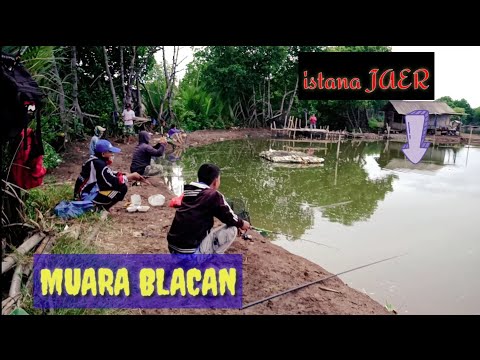 Mancing di muara gembong ll spot istana jaer ll MUARA BLACAN