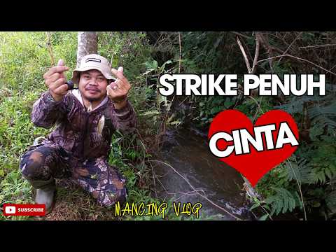 Matahari Tenggelam,ikan wader justru makin Aktif #mancing #mancingmania #fishing #ikan #fyp #wader