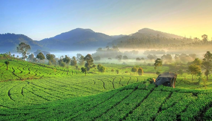 sundaland,-pasundan,-dan-tatar-sunda