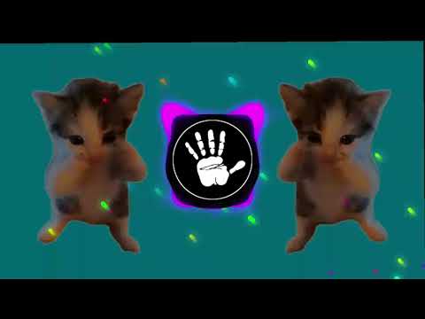 DJ KICAU KICAU MANIA REMIX SLOW ANGKATLAH TOPI MINAT MONGGO JAPRI SLOW VIRAL TIKTOK FULL SONG 2026