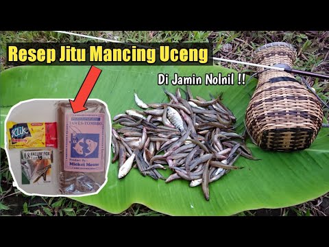 CUMA PAKAI INI !! BONGKAR RAHASIA MANCING UCENG DAPAT BANYAK, Mancing Uceng Di Sungai Bebatuan