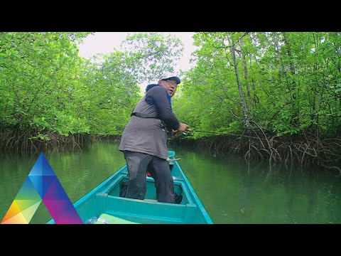 MANCING MANIA – PERGESERAN MUSIM IKAN (9/4/16) 3-1