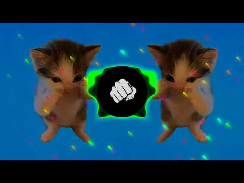 DJ KICAU KICAU MANIA REMIX ANGKATLAH TOPI MINAT MONGGO JAPRI VIRAL TIKTOK TERBARU 2026