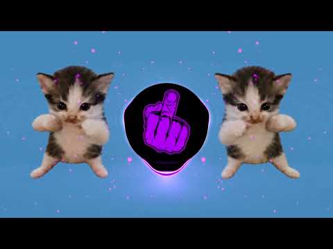 DJ KICAU KICAU MANIA REMIX SLOW ANGKATLAH TOPI MINAT MONGGO JAPRI SLOW VIRAL TIKTOK FULL SONG 2026