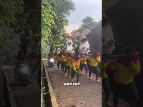 Viral lagu kicau mania #shorts #kicaumania #viral
