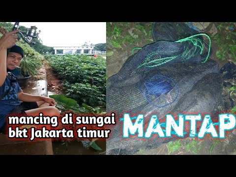 Mancing Di Sungai Bkt Jakarta Timur