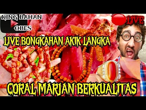 🔴LIVE- “Bongkahan Akik Asli, Garansi Uang Kembali!”✨