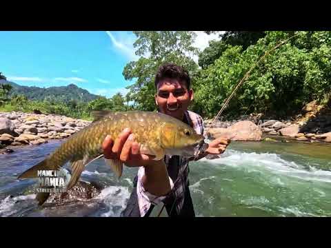 Menaklukkan Ikan Penghuni Pulau Rondo dan Lubuk Larangan | MANCING MANIA STRIKE BACK (20/06/26) P2