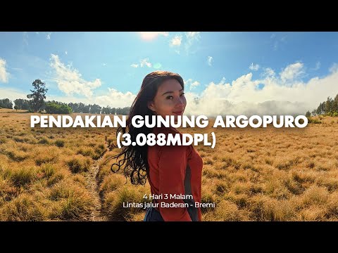 Pendakian Gunung Argopuro