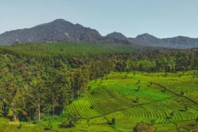 bukan-cuma-soal-dingin,-ini-4-kejanggalan-di-lembang-yang-bikin-wisatawan-semarang-heran