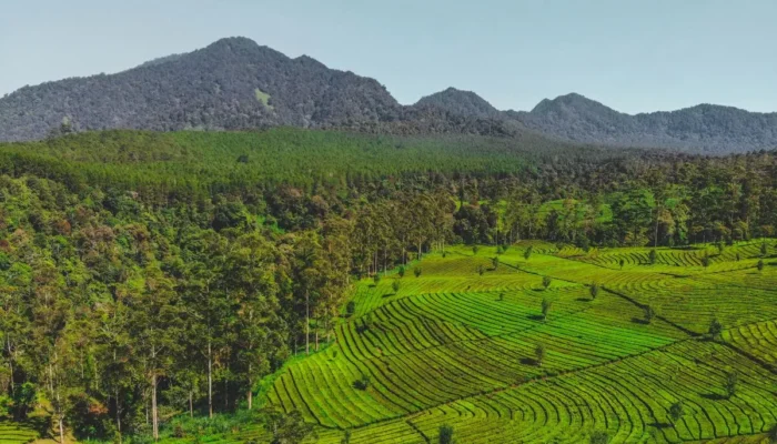 bukan-cuma-soal-dingin,-ini-4-kejanggalan-di-lembang-yang-bikin-wisatawan-semarang-heran