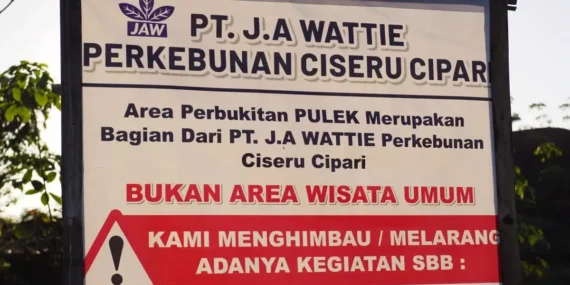 Ironi Puncak Pulek Cilacap: ramai dikunjungi karena viral, padahal area privat