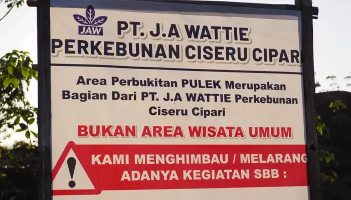 ironi-puncak-pulek-cilacap:-ramai-dikunjungi-karena-viral,-padahal-area-privat
