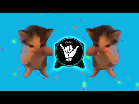 DJ KICAU KICAU KICAU MANIA SLOW VIRAL TIKTOK FULL SONG MAMAN FVNDY 2026