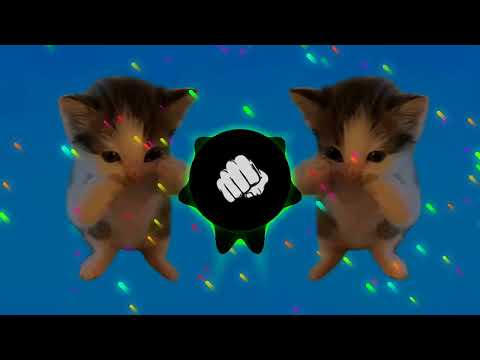 DJ KICAU KICAU KICAU MANIA SLOW VIRAL TIKTOK FULL SONG MAMAN FVNDY 2026