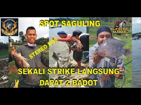Mancing Saguling #014 # Sekali Strike Dapat 2 Badot #Spot Mantap Badot pada naik