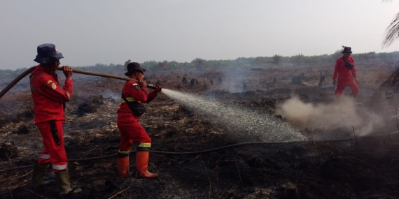 Karhutla Landa 10 Hektare Lahan Gambut di Bagan Puncak Rokan Hilir Riau