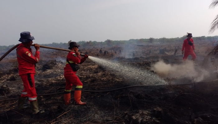 karhutla-landa-10-hektare-lahan-gambut-di-bagan-puncak-rokan-hilir-riau