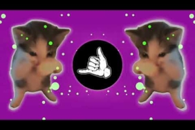 DJ KICAU KICAU MANIA SLOW VIRAL REMIX FULL SONG VIRAL TIKTOK TERBARU 2026 YANG KALIAN CARI!!