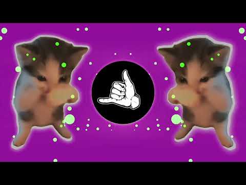 DJ KICAU KICAU MANIA SLOW VIRAL REMIX FULL SONG VIRAL TIKTOK TERBARU 2026 YANG KALIAN CARI!!