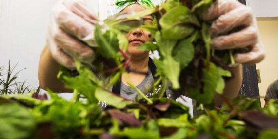 Salad Chains Melihat Penurunan Lalu Lintas Pejalan Kaki Karena Ketakutan Siklosporiasis