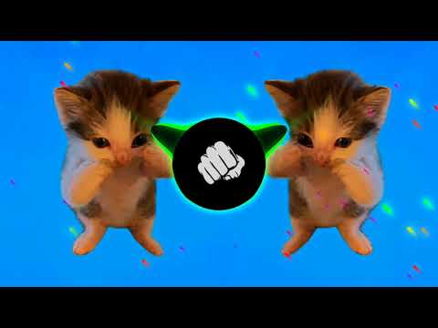 DJ KICAU KICAU MANIA REMIX GASPOL DANGAK DANGAK SOUND VIRAL TIKTOK TERBARU 2026