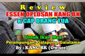 kabarmancing-channel-:-review-essen-oplosan-kang-bk-&-cap-orang-tua