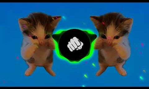 DJ KICAU KICAU KICAU MANIA SLOW VIRAL TIKTOK FULL SONG MAMAN FVNDY 2026