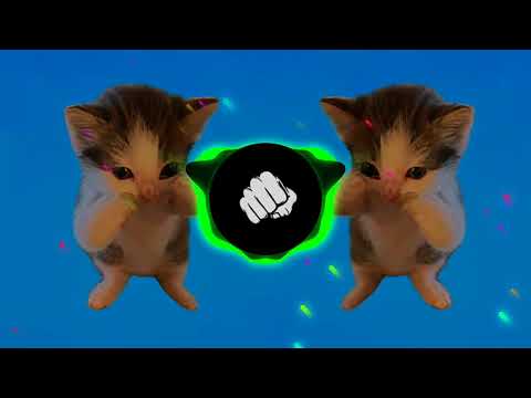 DJ KICAU KICAU KICAU MANIA SLOW VIRAL TIKTOK FULL SONG MAMAN FVNDY 2026