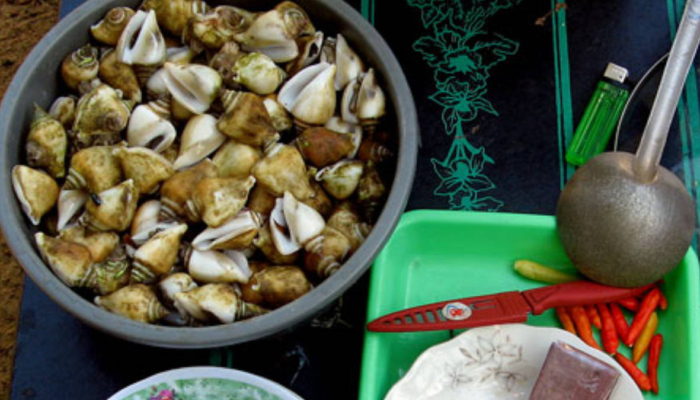 siput-gonggong,-kudapan-tradisional-dari-bangka-belitung-yang-kaya-akan-kandungan-protein