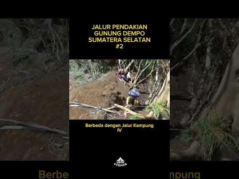 Jalur Pendakian Gunung Dempo #shorts #shortvideo #feed #pendaki #pendakigunung #gunungdempo