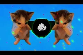 DJ KICAU KICAU KICAU MANIA SLOW VIRAL TIKTOK FULL SONG MAMAN FVNDY 2026