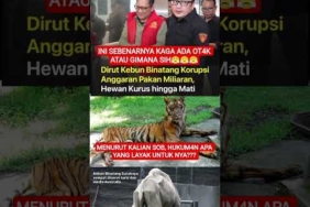 GIMANA PENDAPAT KALIAN SOB? #shorts #beritaterkini #shortsfeed #fyp