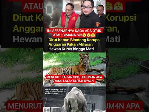 GIMANA PENDAPAT KALIAN SOB? #shorts #beritaterkini #shortsfeed #fyp