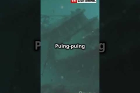 Adam Air pt1  #adamair574 #hilangtanpajejak #pesawathilang #teorikonspirasi